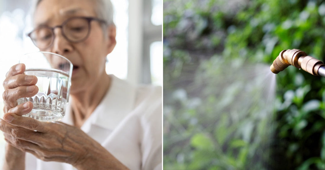 On the left, an elderly woman with glasses drinks from a glass of water; on the right, a brass spray nozzle mists liquid onto green garden foliage.