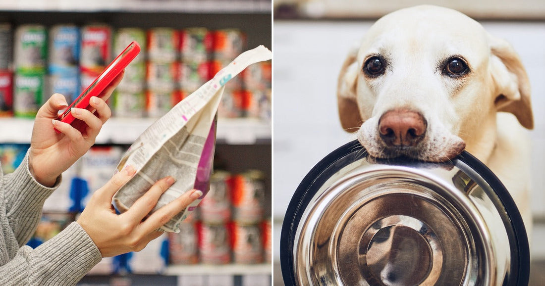 Pet Food Recalls Keep Coming and Families Keep Finding Out Too Late