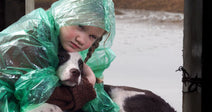 Don't Make Families Choose Between Safety and Their Pets