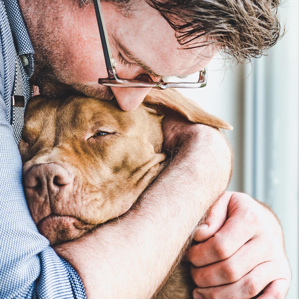Expand Veterinary Telemedicine To Keep Pets In Homes