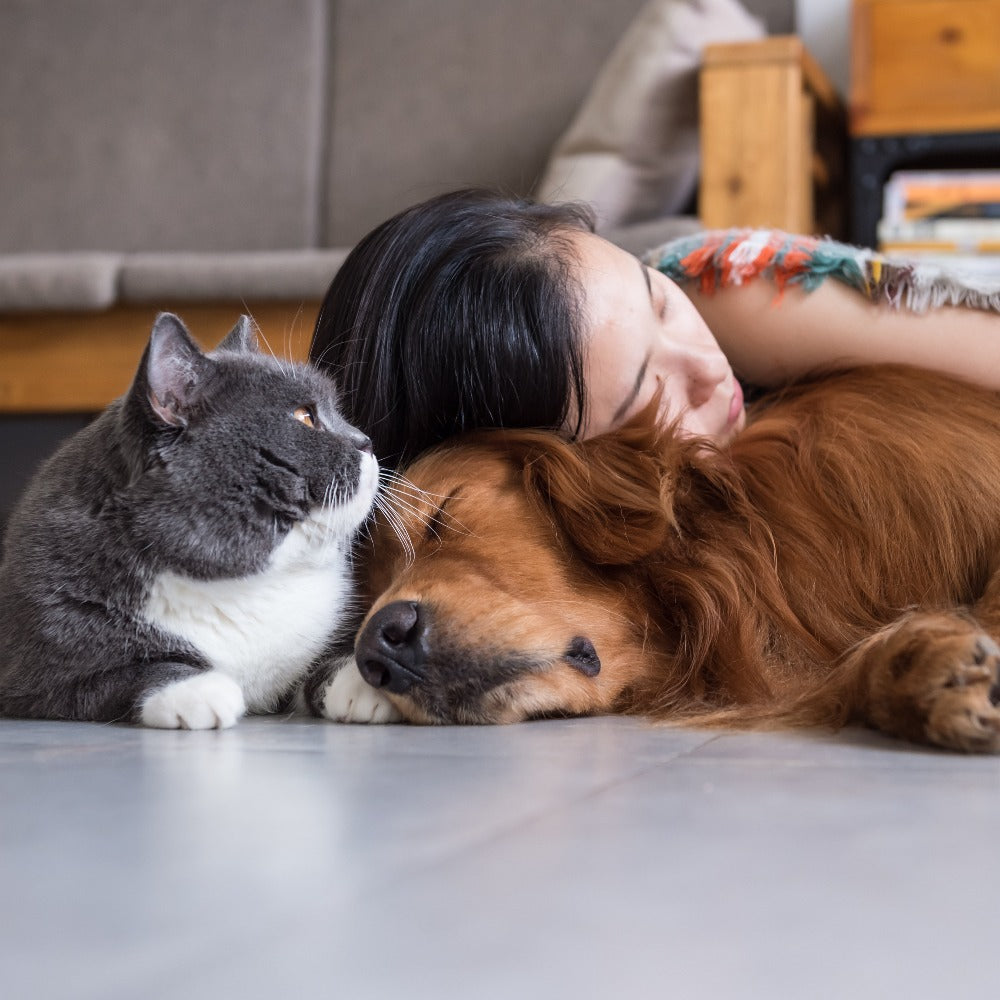 A young woman rests her head on a golden retriever lying on a floor while a gray cat sits beside them.