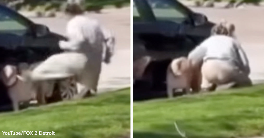 Side-by-side blurry video stills showing a woman beside a parked black car with a fluffy light-colored dog near the curb on a sunny residential street.