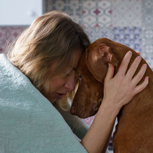 Keep Pets And Families Together In Public Housing