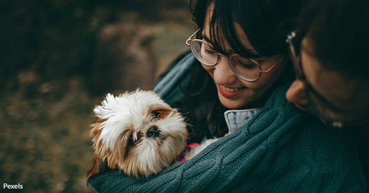 Pets at Risk as Study Reveals Humans Major Source of Animal Viruses