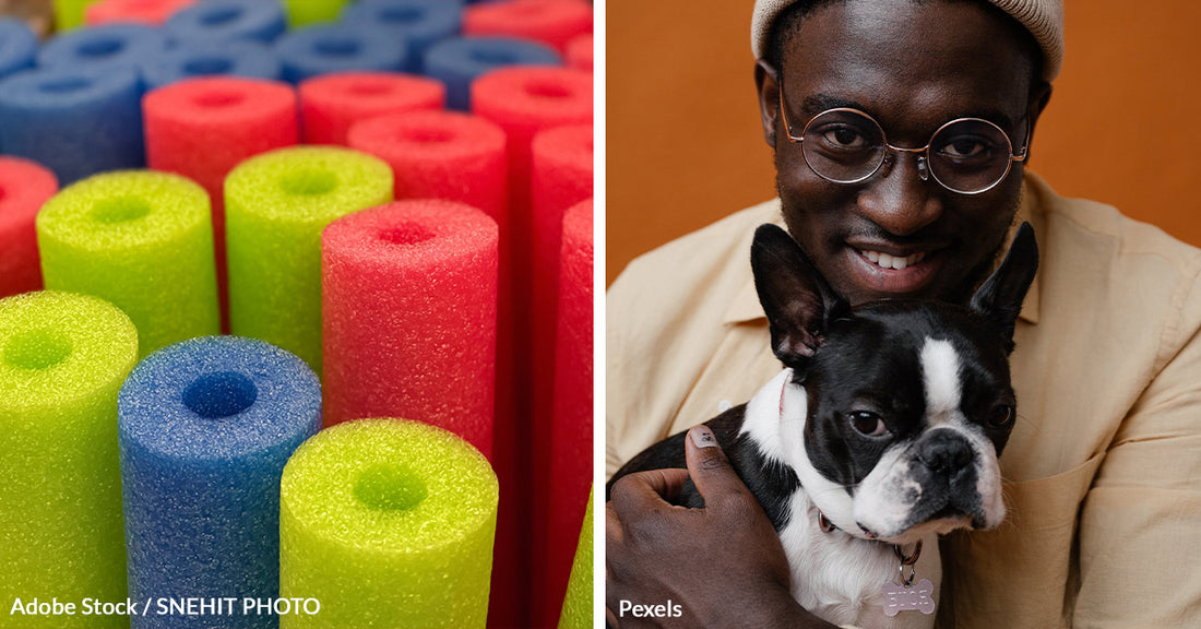 Creative Uses of Pool Noodles to Protect Your Home and Keep Your Pets Happy