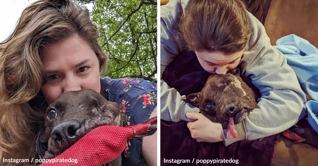 From Trauma to Triumph: Poppy's Story Continues To Inspire Us All