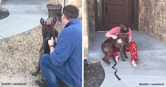 Parents Unknowingly Broke Their Daughter’s Heart By Adopting A Shelter Dog