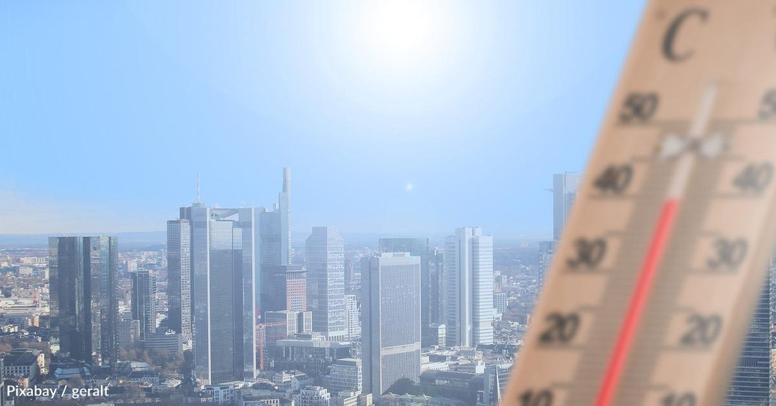 This Summer's Heat Waves Are Breaking Records: Are You at Risk?