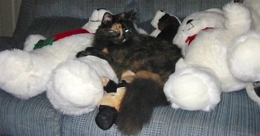 Black tortoiseshell cat lounging on a couch surrounded by large white stuffed animals.