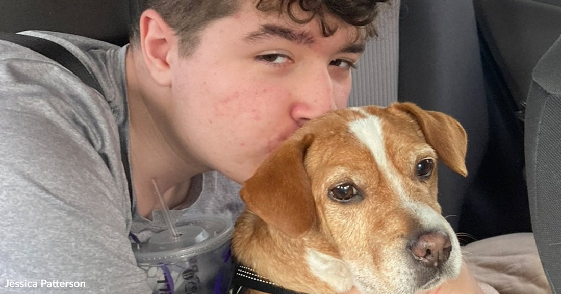Teen boy kissing the head of a small tan-and-white dog while holding it close.