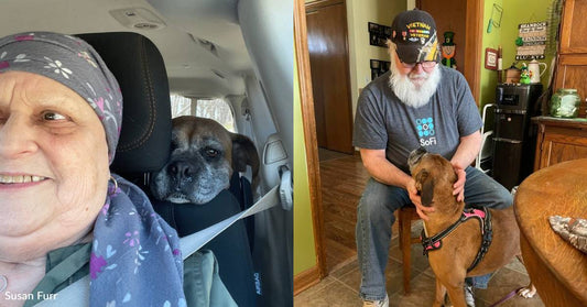 Rescue Pup Brings Love to Couple Dealing with Cancer, Dementia Diagnoses