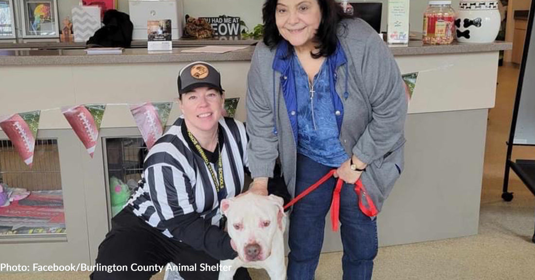 Senior Dog Chief, Who Has Spent Years At Shelter, Scores Loving Home On Super Bowl Sunday