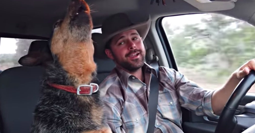 Dog Sings Sweet Duet With Cowboy After Her Favorite Song Comes On