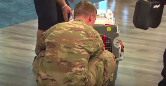 Soldier Gets Back The Puppy He Rescued Overseas