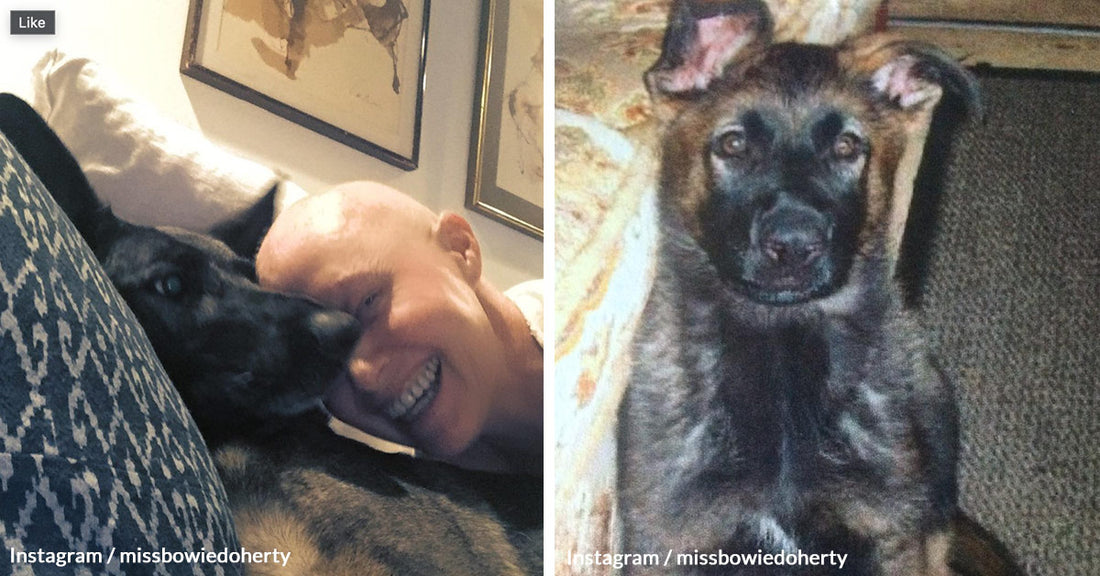 Shannen Doherty's Loyal Dog Bowie Detected Her Cancer Before Doctors