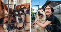 Close-up of several dogs behind kennel bars next to a woman hugging a shaggy rescue dog outside a fenced shelter area.