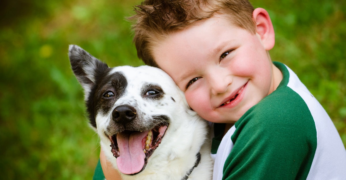 Simple Ways You Can Train Your Dog to Help Your Child with Autism ...