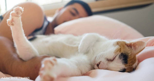 Having a Pet Can Really Mess with Your Sleep, Study Finds