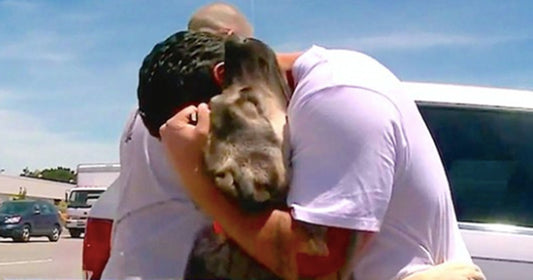 Soldier Adopts Stray Puppy From Iraq And Brings Him Home After A Month Apart: “You Don’t Leave A Friend Behind”