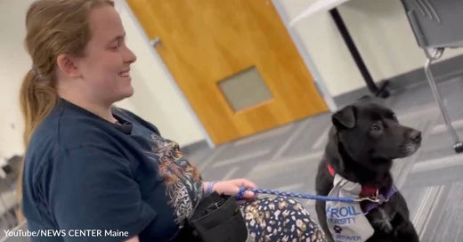 College Pairs Animal Behavior Students with Foster Dogs