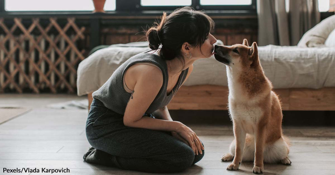 The Sweetest Gestures Pets Have Shown Their Human Parents