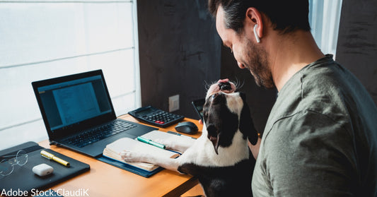 8 Reasons Why Every Day Should Be "Take Your Dog To Work Day"