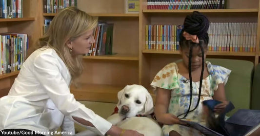 How Therapy Dogs from an NYC Program Motivate Students to Practice Their Reading Skills