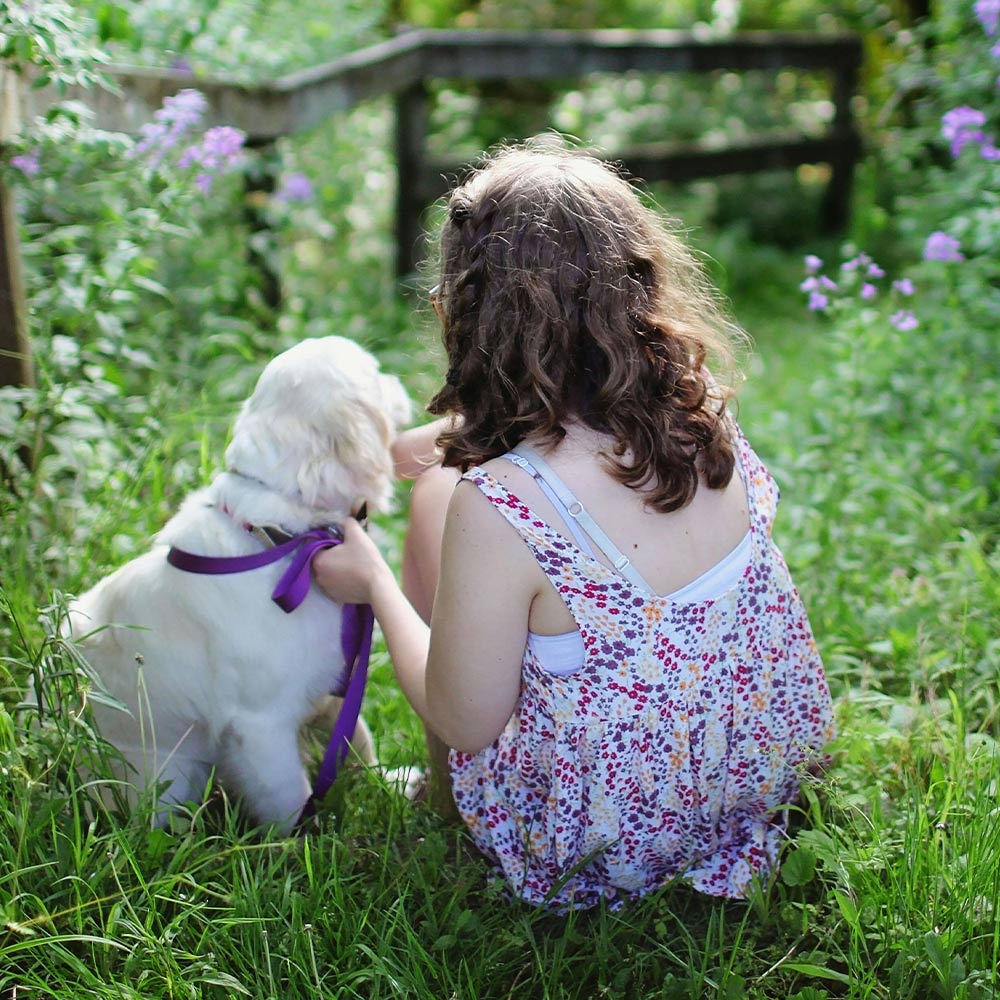 Protect Pets From Hidden Poisons In Plants And Scents