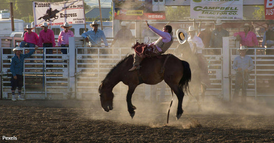 Tucson Rodeo Faces Outcry Over Shocking Treatment of Horses