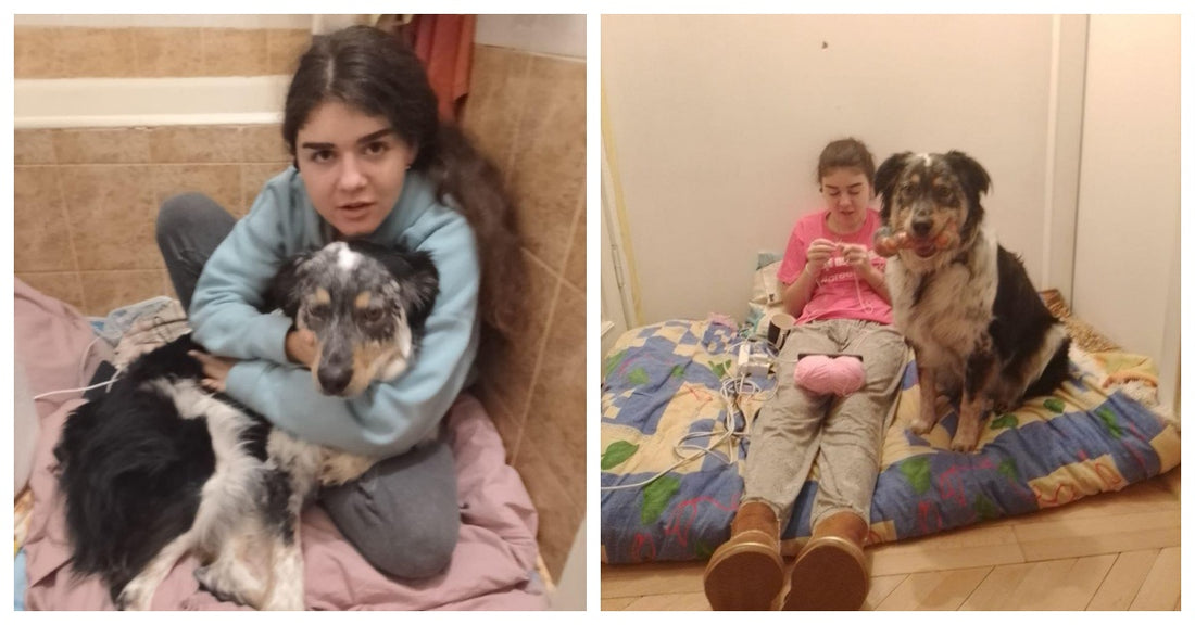 American's Dog Helps Comfort Ukrainian Girl As War Closes In