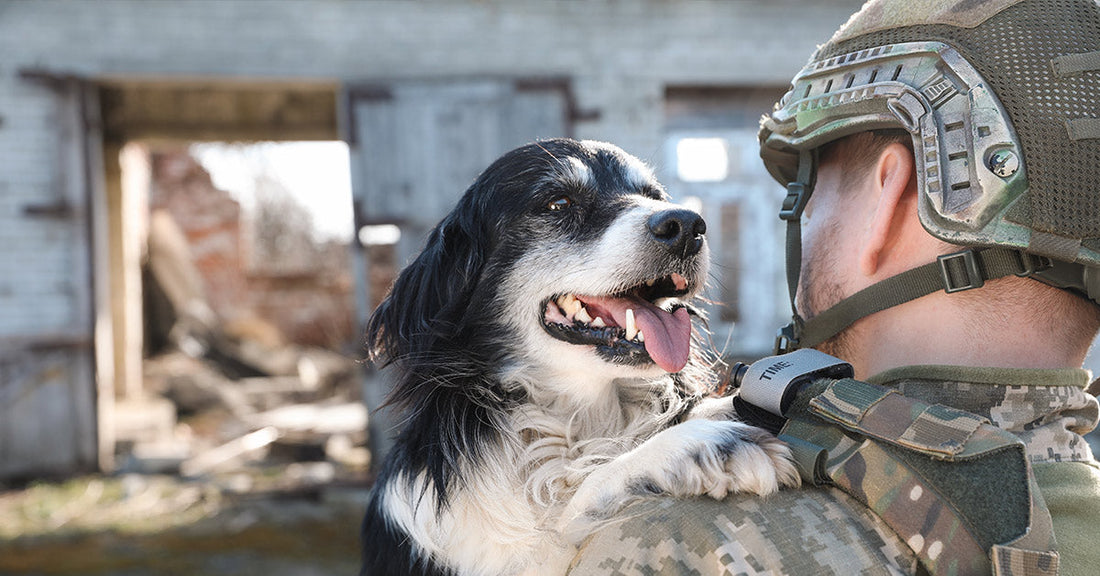 A soldier in camouflage holds a happy black and white dog in his arms amid a damaged building.