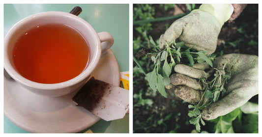 8 Reasons To Bury Tea Bags In Your Garden