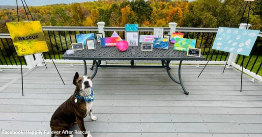 Van Gogh the One-Eared Dog: From Bait Dog to Canine Artist