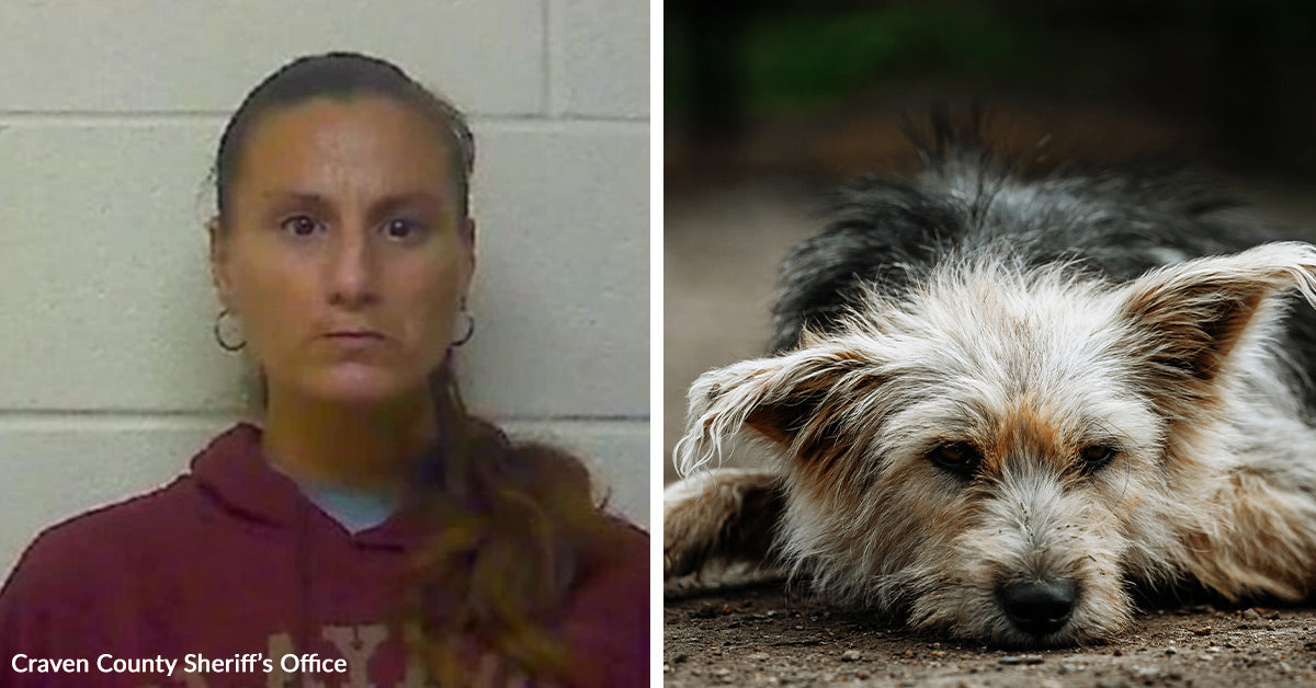 A Video Helped Deputies Rescue An Abused Dog | GreaterGood