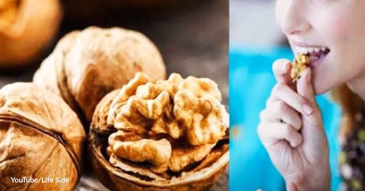 Yummy, Good News! Walnuts Can Boost the Brainpower and EQ of Teenagers!