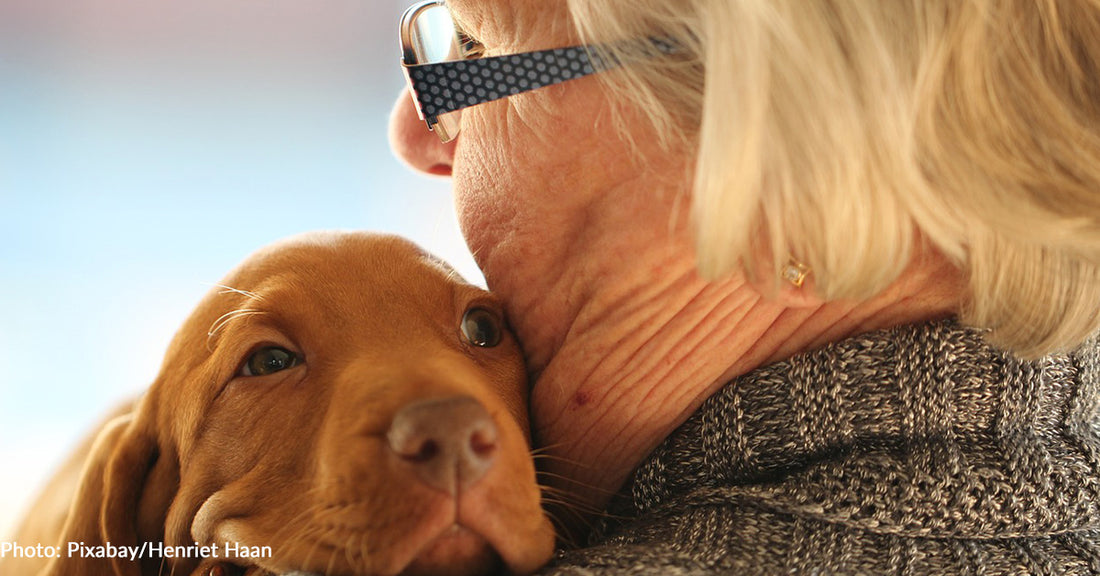 Maine Woman Hopes To Celebrate Her 100th Birthday With 100 Dogs