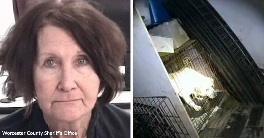 Split image showing a mugshot of an older woman on the left and several pet carriers stacked indoors, some containing cats, on the right.