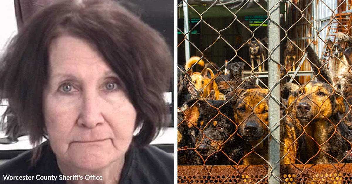 Woman Sentenced After 66 Animals Found Trapped In Neglect | GreaterGood
