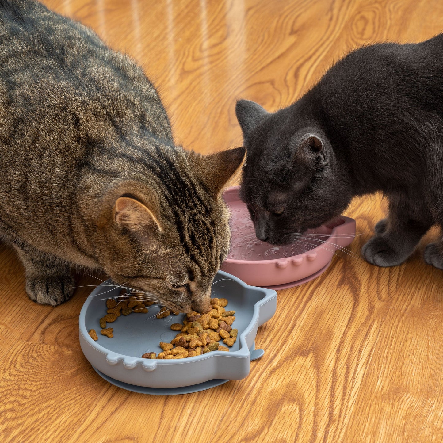 Silicone Cat Dish