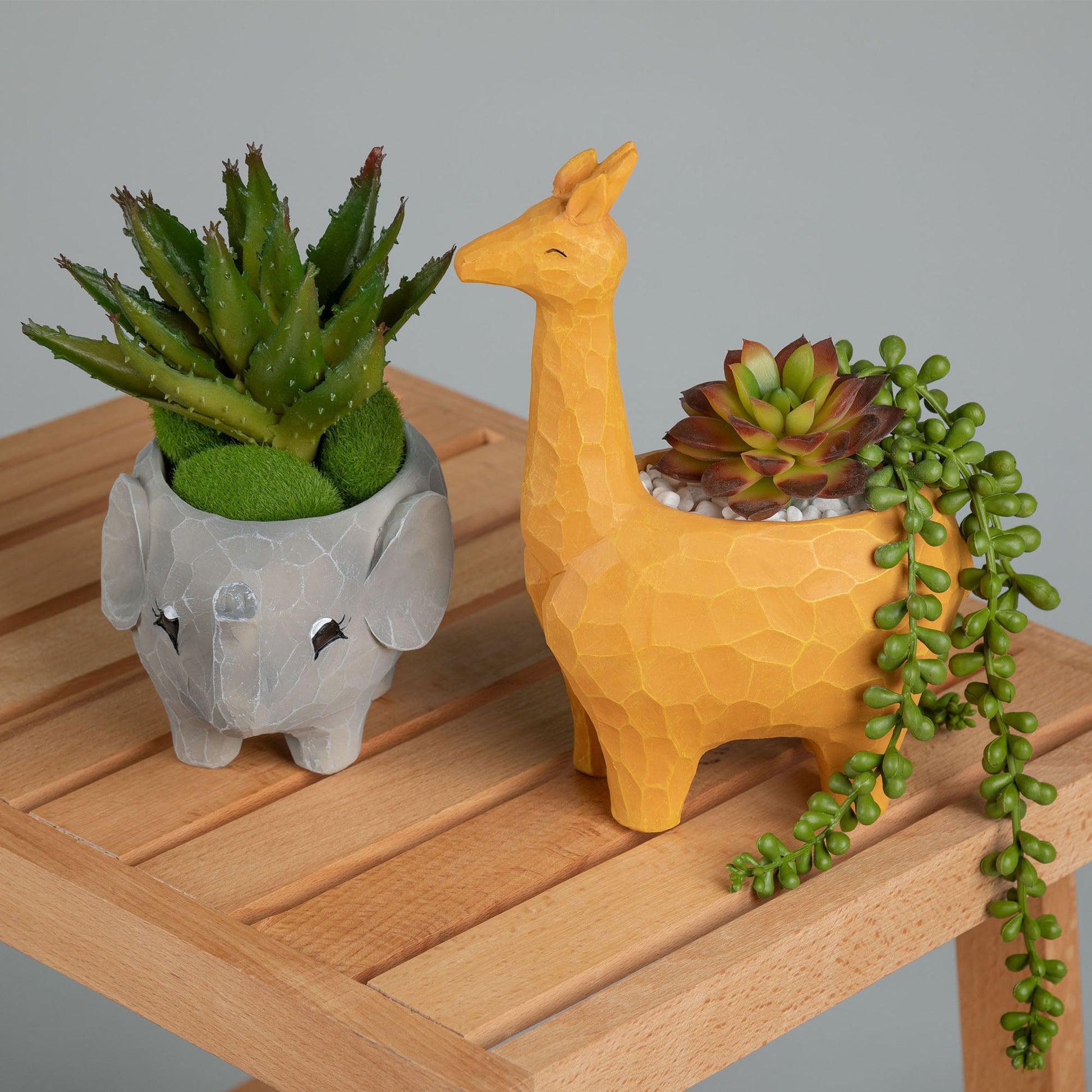 llama succulent planter Wild Kingdom Planter