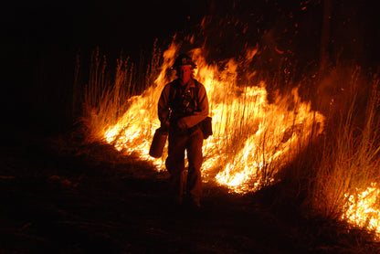 Disaster in the South: Help People and Pet Victims of Wildfires