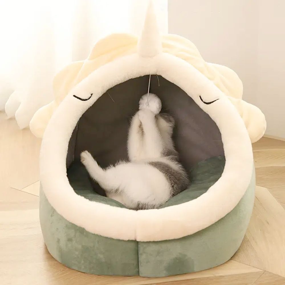 Adorable Dinosaur Pet House