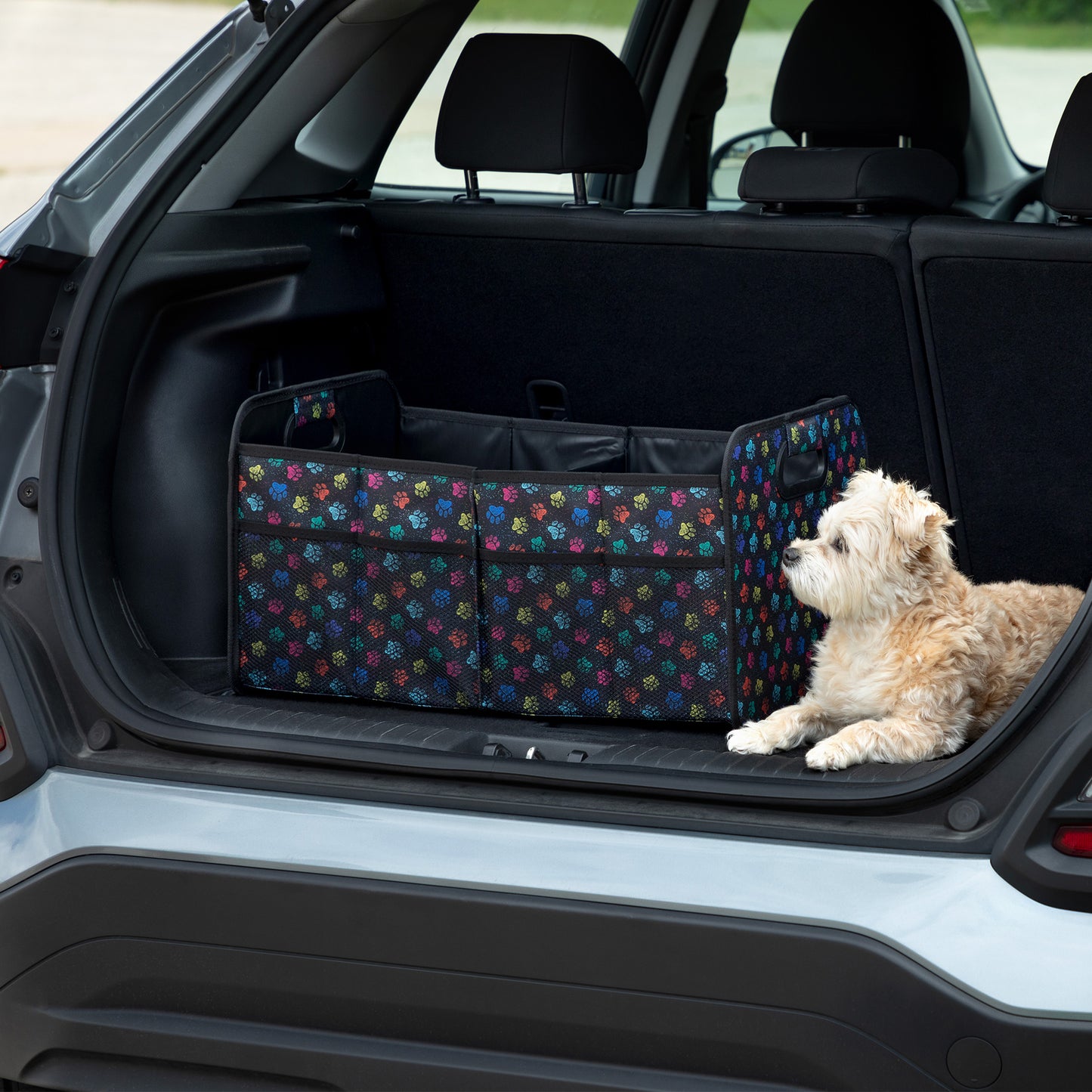 Confetti Paws Large Foldable Car Trunk Organizer