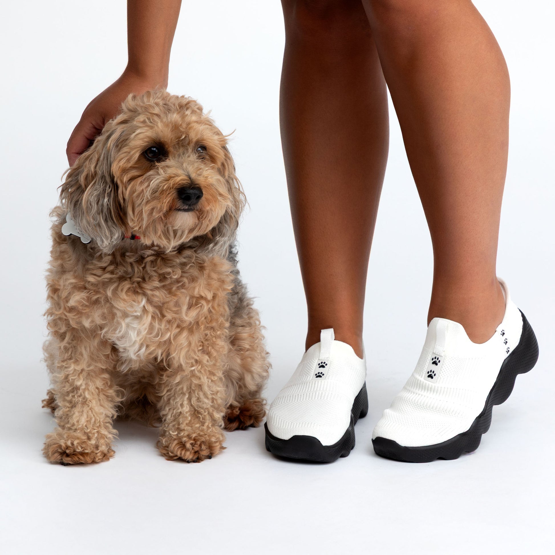 Small dog standing next to a person wearing white sneakers with black paw prints on a light gray background