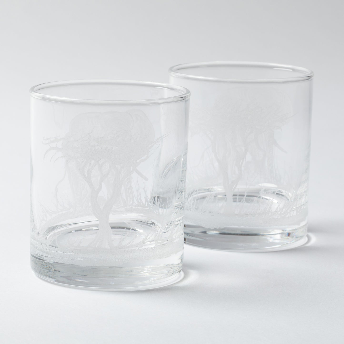 Two clear glass tumblers on a white background