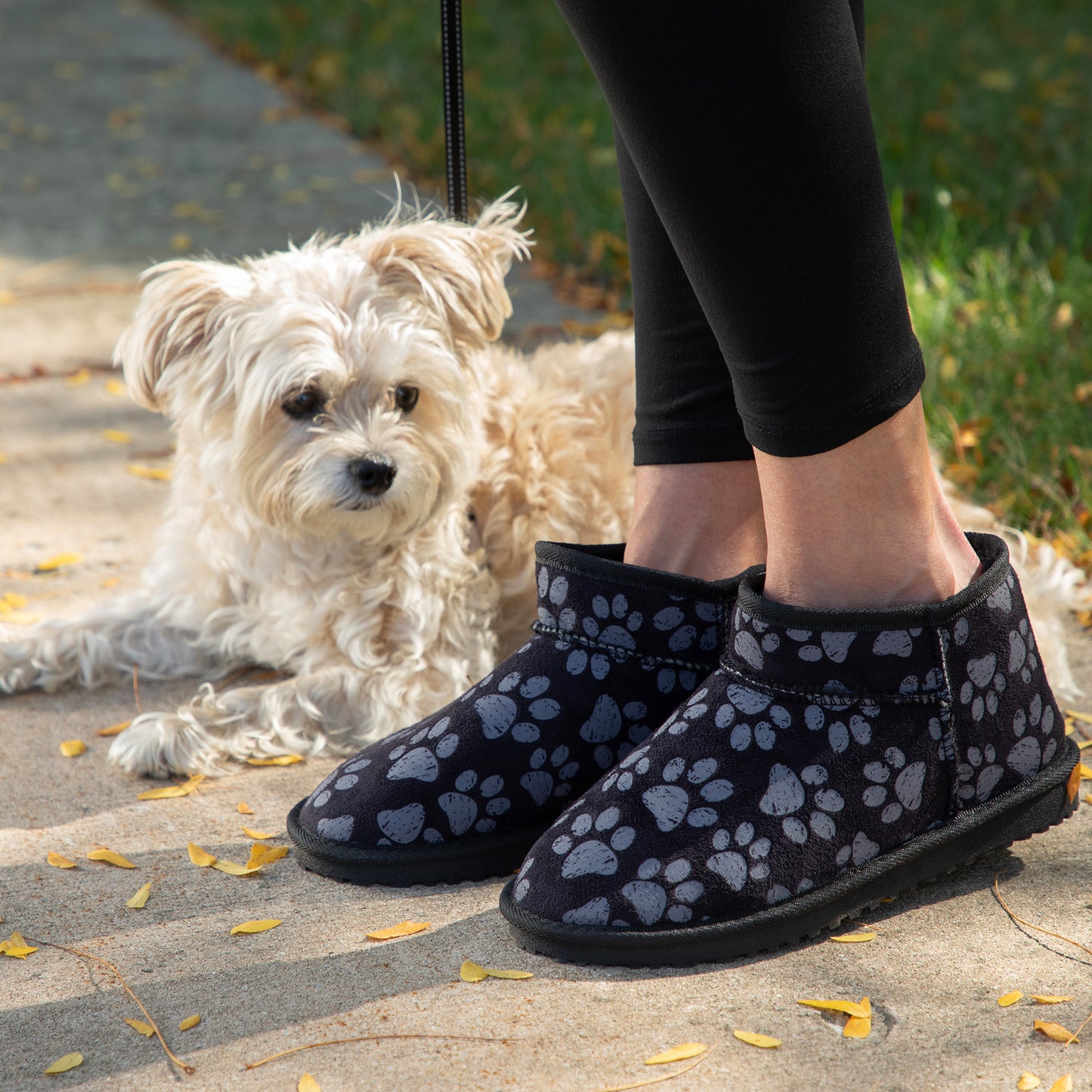 Person wearing black patterned ankle booties with a white dog on a leash in the background