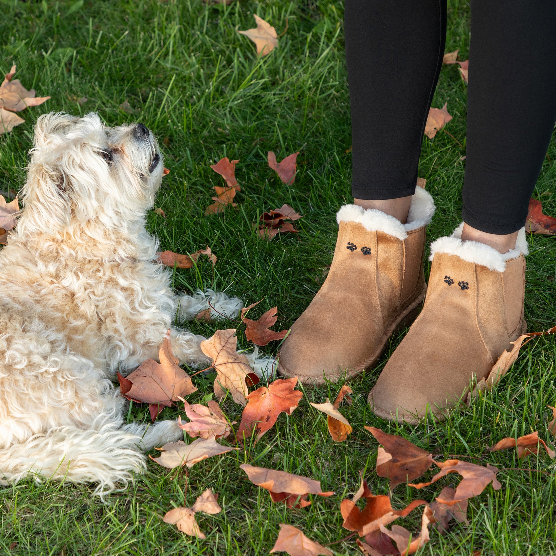Person wearing brown slip on boots with a dog on grass with fallen leaves