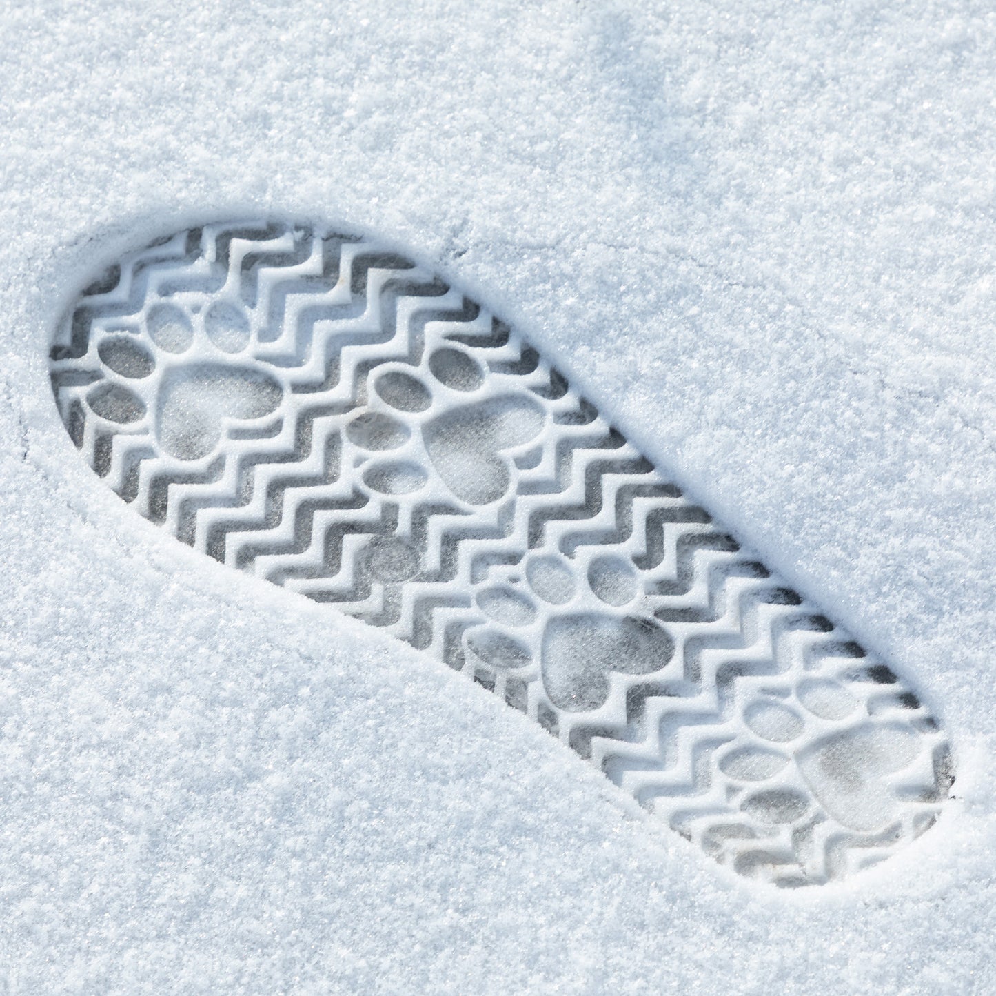 Paw Print Faux Suede Chelsea Boots