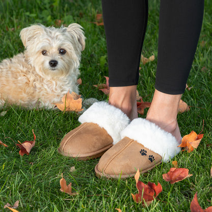 Person wearing brown slippers with white fur lining on grass with a dog nearby