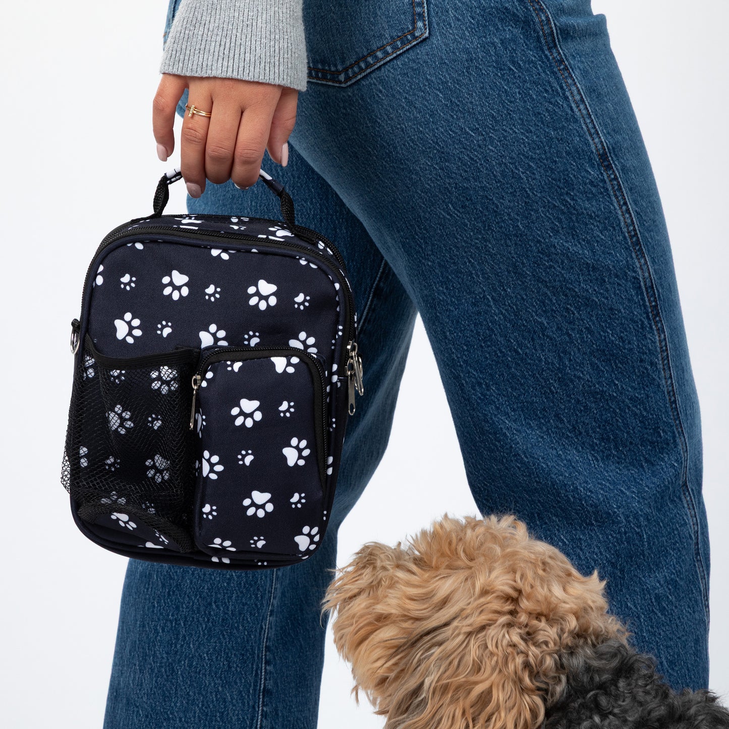 Paw Love Expandable Crossbody Daypack